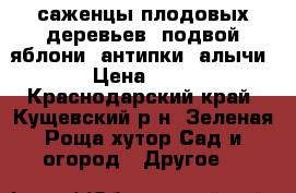 саженцы плодовых деревьев, подвой яблони, антипки, алычи › Цена ­ 80 - Краснодарский край, Кущевский р-н, Зеленая Роща хутор Сад и огород » Другое   